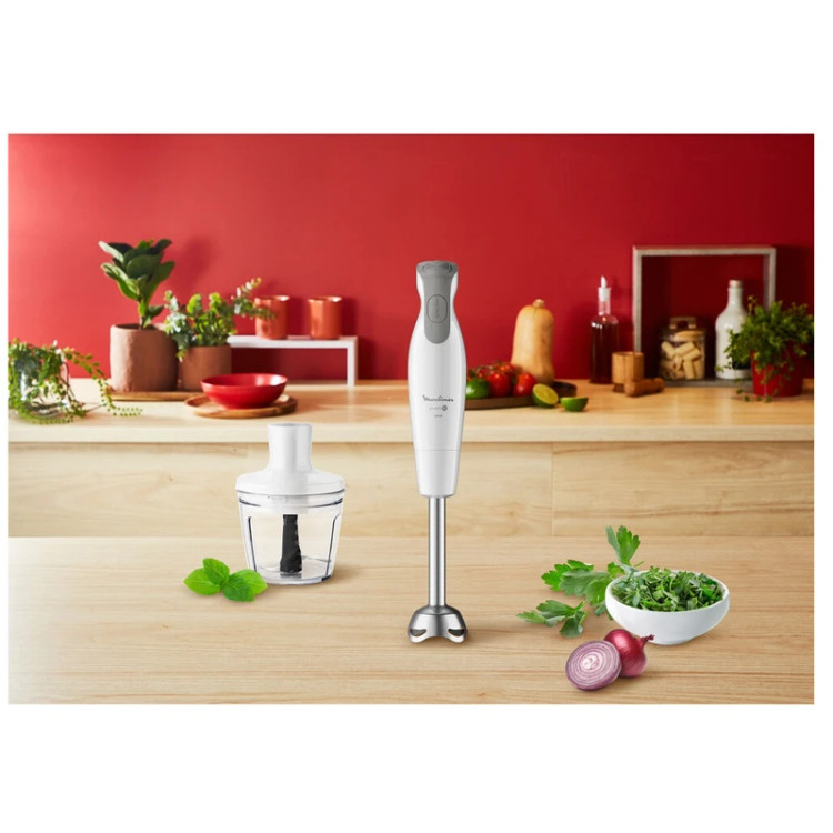گوشت کوب برقی مولینکس مدل DD553110